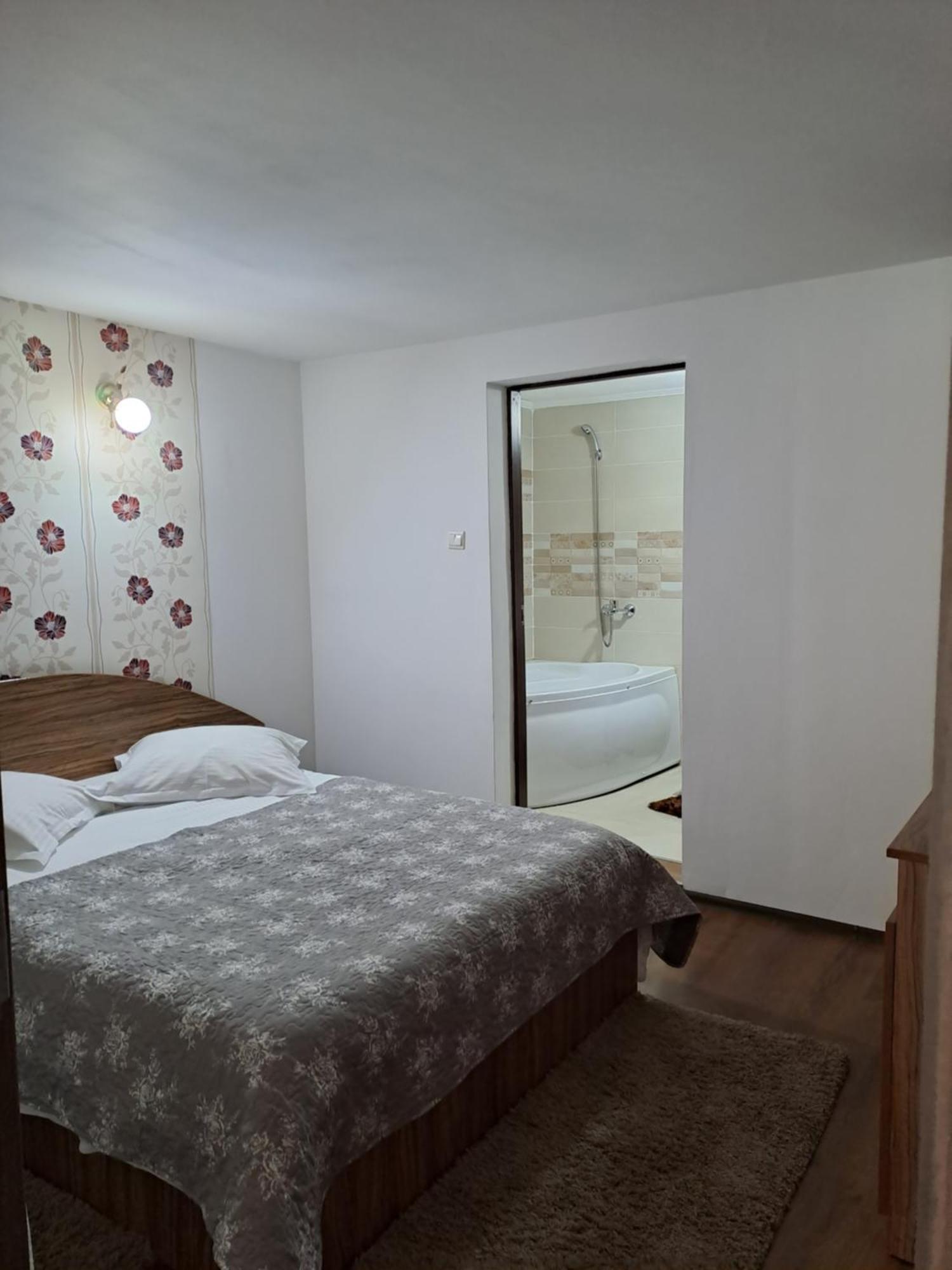 Casa Raul Villa Rucăr Dış mekan fotoğraf
